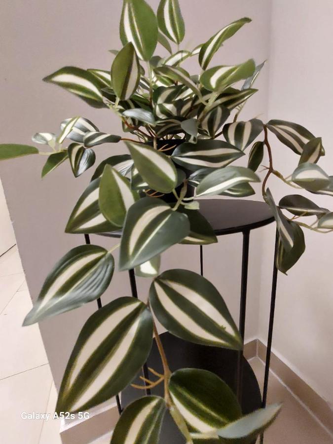 Appartement Am Uni Park Koeln Suelz 外观 照片